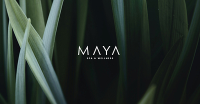 Maya Spa & Wellness │Brand & Logo Identity health massage minimalist nature peace spa wellness zen