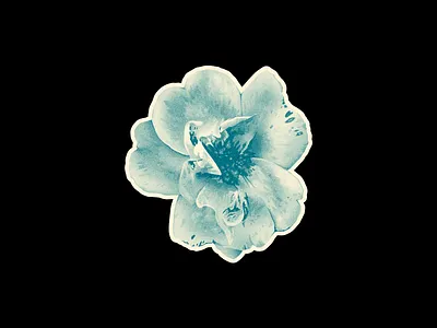 Blue Flower 01. bloom blue cintiq creative design drawing earth flower garden growth illustration life nature petals photoshop plant wacom