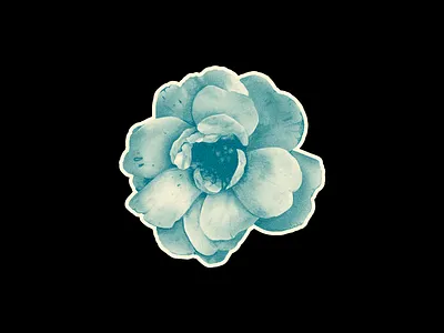 Blue Flower 02. bloom blue cintiq creative design drawing earth element flower garden growth illustration life nature petals photoshop plant wacom