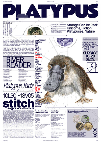 Platypus Poster — Infographic A3 animalscience creative direction design designforprint editorialdesign exhibitiondesign graphicdesign griddesign illustration infographic modernposter naturedesign newspaperlayout platypus poster design printdesign typeposter typography