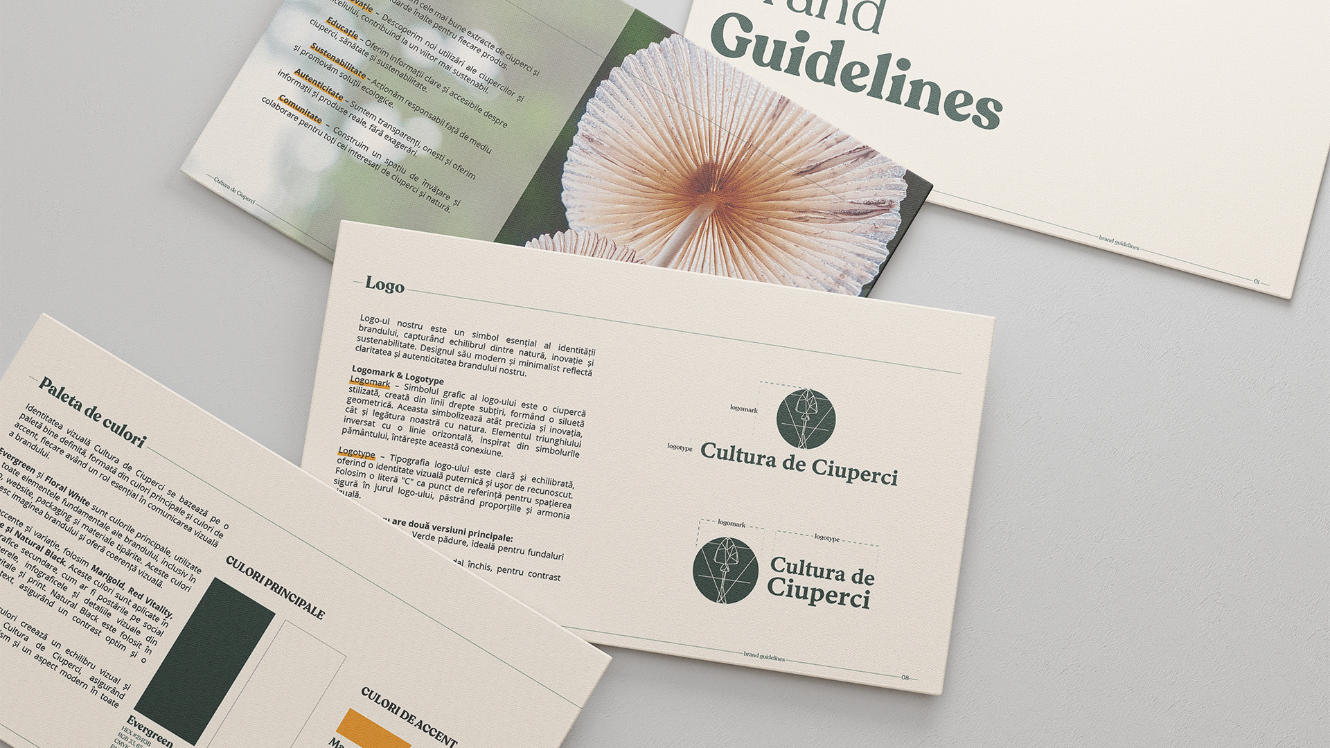 Example of Complete Branding Package