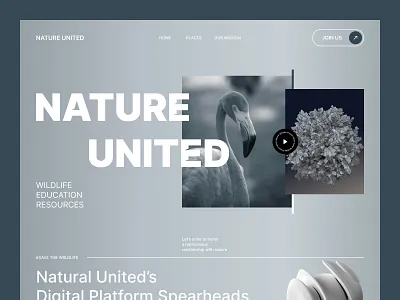 Nature United — Wildlife & Conservation Website UI Design clean ui conservation dribbble enviromental design figma design landing page minimal ui modern modern webdesign nature website nonprofit design ui design uxui web design web interface
