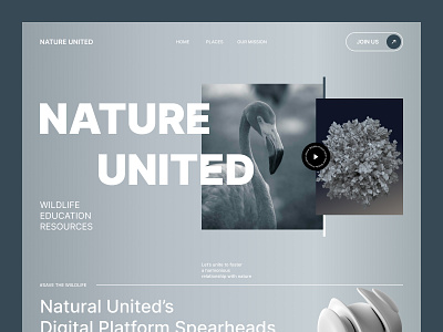 Nature United — Wildlife & Conservation Website UI Design clean ui conservation dribbble enviromental design figma design landing page minimal ui modern modern webdesign nature website nonprofit design ui design uxui web design web interface