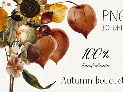 Watercolor autumn illustration acorn autumn autumn illustration botanical botanical art botanical illustration floral flowers hand drawn hand painted illustration illustrator sunflower watercolor