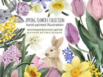 Spring flowers collection botanical illustration bunny daffodils floral flowers hand painted hare hyacinth illustration illustrator lilac mimosa narcissus prints rabbit spring spring flowers tulip