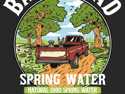 BACK ROAD SPRING WATER apparel branding clothing commission digital art drawing graphic design illustration logo merch nature outdoor product design tshirt vintage