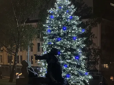 Envelop a fir tree ai assisted design