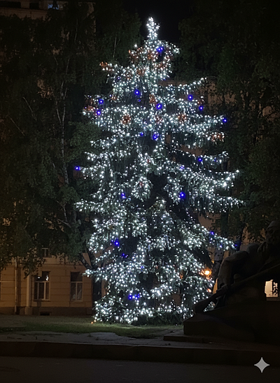 Envelop a fir tree 2 ai assisted design