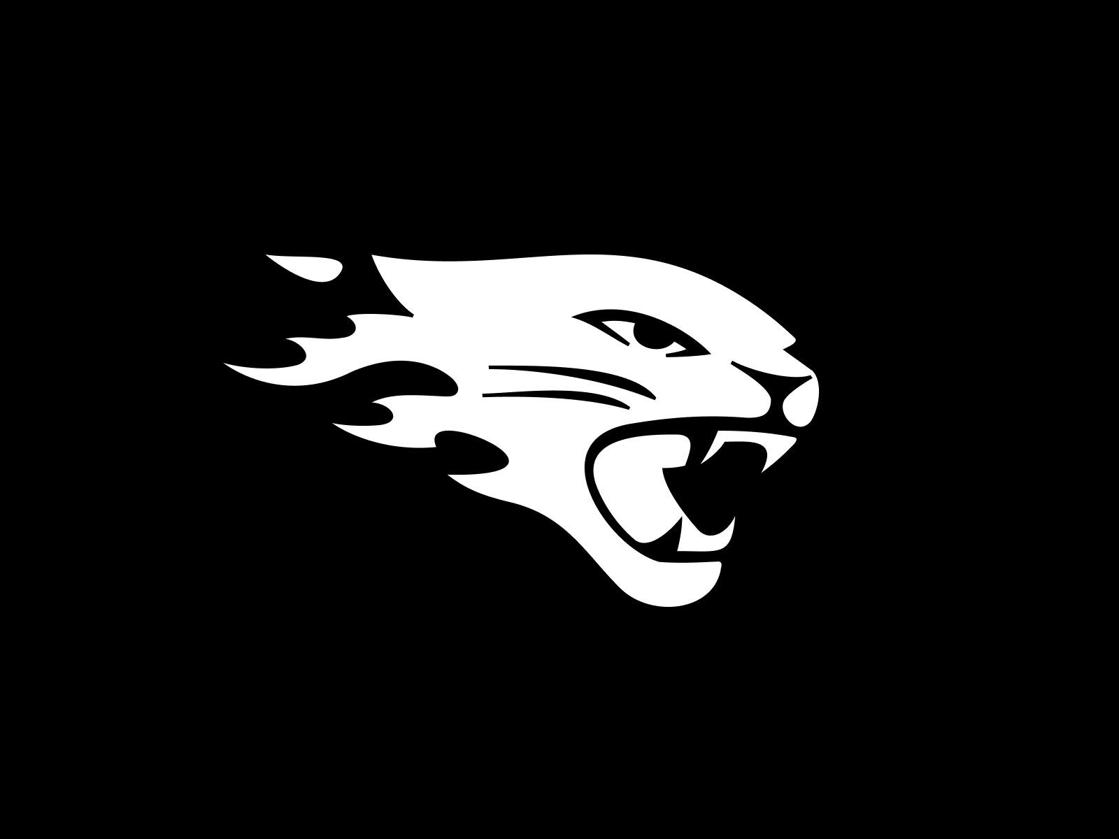 Jaguar Logo cat cheetah dynamic fire flame flat jaguar logo wild