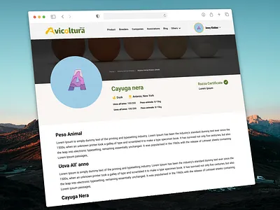 Company Profile Page Design agency profile page design agency profile page ui design app company profile page design company profile page ui design design ecommerce figma profile page profile page design profile page ui design ui ui ux design ux