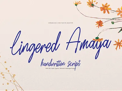 Lingered Amaya | Handwritten Script beautiful font copperplate cursive handwritten lettering ligature logo minimalist modern fonts nostalgic romantic font script swashes title typography unique vintage vintage script wedding whimsical