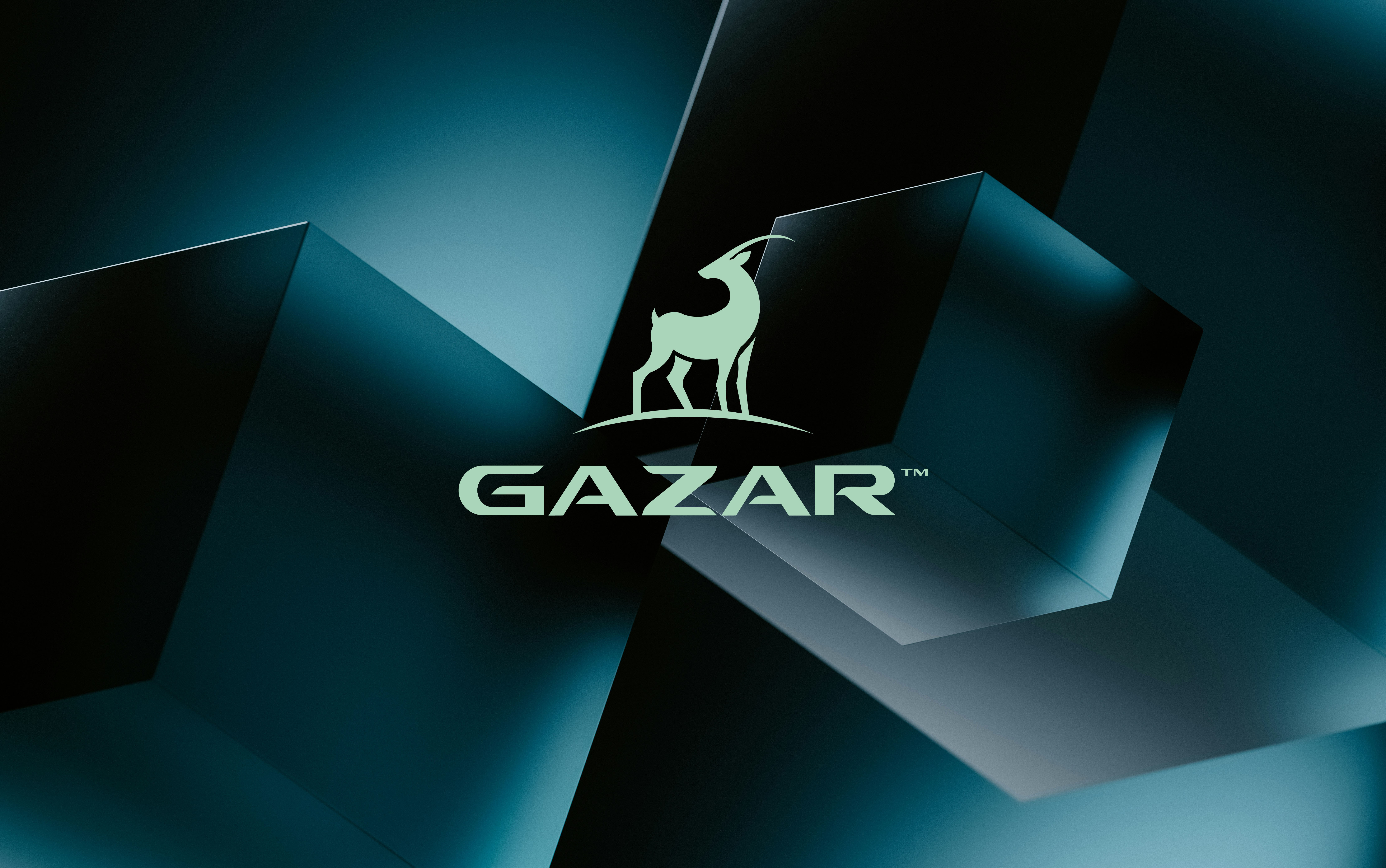 Example of Professional Logo Design