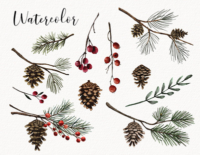 Pine and Berry Watercolor Clipart berries botanical botanical illustration christmas christmas illustration clipart fir forest hand drawn hand painted illustration pine pine branch pine illustration pinecone red berries watercolor watercolor illustration winter winter decor