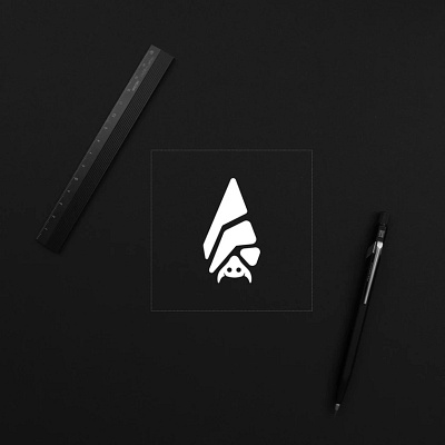 Insomnia. bat branding design graphic design illustration insomnia logo logodesigner