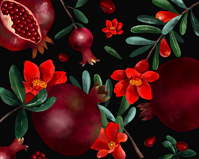 Pomegranate Botanical Illustration botanical botanical art botanical illustration branch floral flowers food fruit fruit illustration hand drawn illustration leaves pattern pomegranate pomegranate branch pomegranate seeds print realistic style red fruit