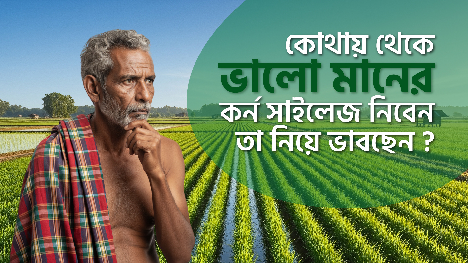 2D Promotional Ads 2d 2d animation 2d explainer agriculture agro agro farming animation branding design explainer video graphic design graphicdesign illustration marketing marketing video motion motion design motion graphics promotional ads promotional video