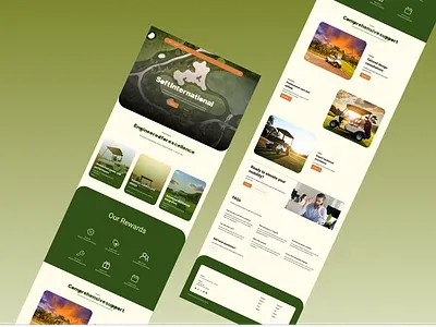 Soft International site concept figma graphic design site ui