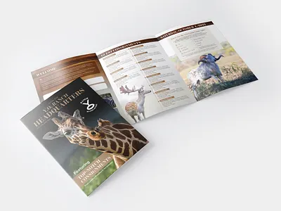 A4 3-Fold Brochure design bi fold brochure branding design brochure a4 x 3 brochure design business brochure catalog design company brochure corporate brochure creative brochure custom brochure event brochure graphic design lookbook design marketing brochure minimalist brochure modern brochure print brochure product brochure promotional brochure tri fold brochure