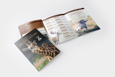 A4 3-Fold Brochure design bi fold brochure branding design brochure a4 x 3 brochure design business brochure catalog design company brochure corporate brochure creative brochure custom brochure event brochure graphic design lookbook design marketing brochure minimalist brochure modern brochure print brochure product brochure promotional brochure tri fold brochure