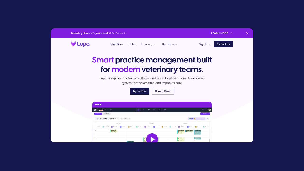 LUPA Webiste Redesign ui ux website website design