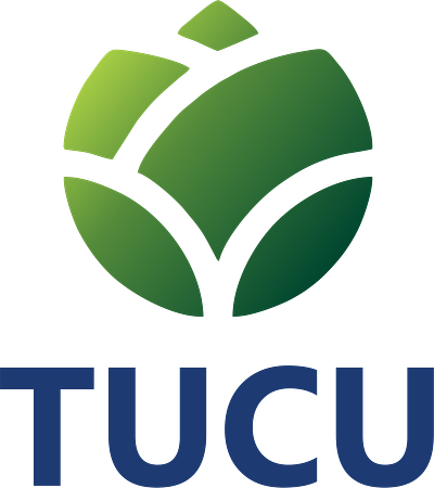 Design UX/UI and Brand - TUCU APP branding design design system illustration logo ui design ux design web design