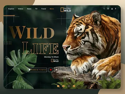 Wild Life animal animation design figma graphic design illustration landing page ui ux web design