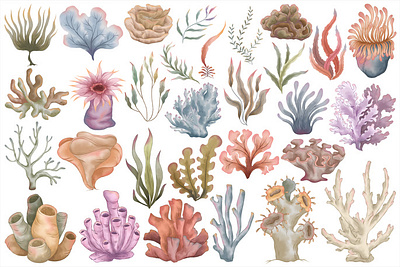 サンゴの海の水彩画セット