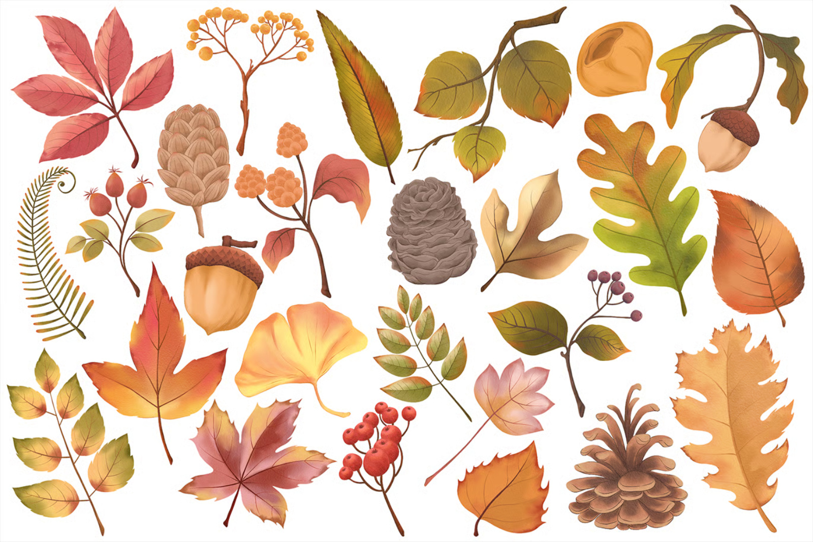 秋の葉の水彩画セット anime asian clipart cuisine illustration japan japan pattern japanese ninja onigiri ramen restaurant samurai sashimi sushi takoyaki tempura traditional watercolor