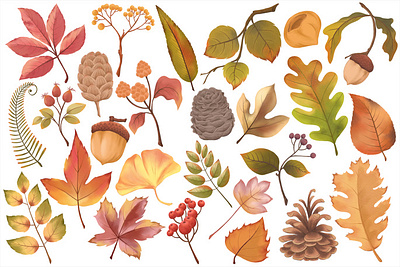 秋の葉の水彩画セット anime asian clipart cuisine illustration japan japan pattern japanese ninja onigiri ramen restaurant samurai sashimi sushi takoyaki tempura traditional watercolor