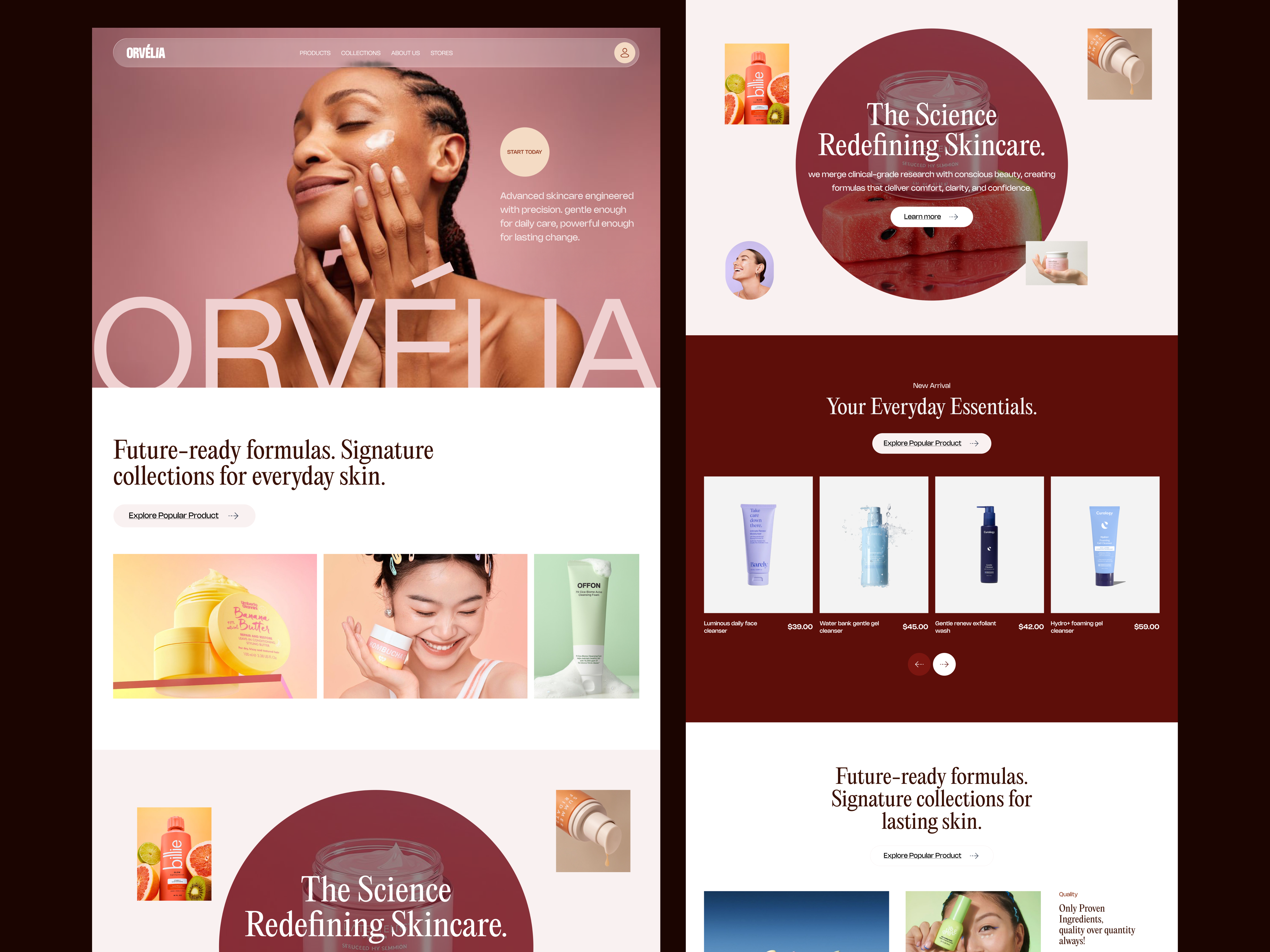 Example of Premium Custom Ecommerce Website Design