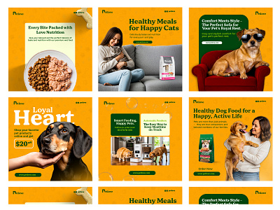 Petlove - Social Media Post Design amazon listing image brand design brand identity design catcare dogcare green pet pet product e commerce design petcare petcare social media design print design social media design social media post top logo designers dribbble top packaging designers dribbble yellow