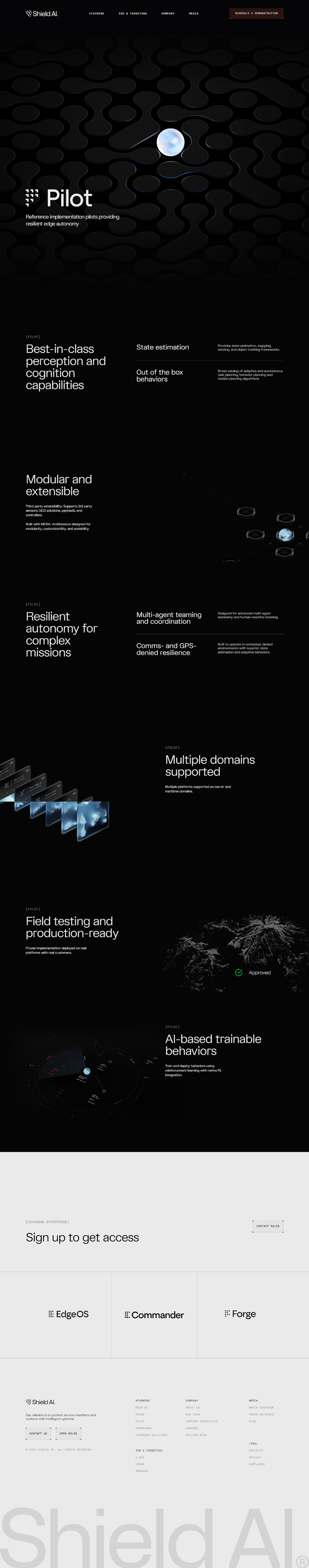 Website - Pilot Section