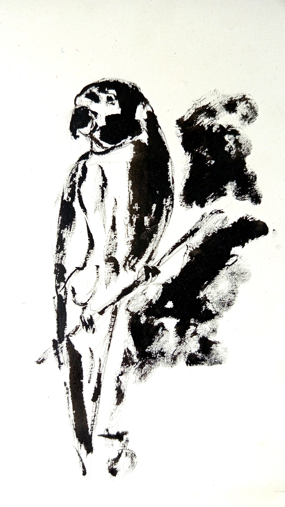 Minimal Black & White Bird Ink Illustration art artist bird drawing black and white drawing brush drawing chinese ink drawing drawing illustration ink art ink illustration