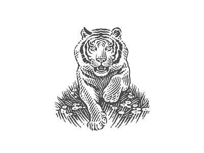 Tiger design engraved engraving etched etching graphic design grass illustration jump label logo pen and ink run tiger vector engraving woodcut