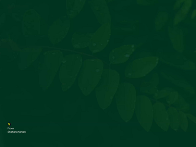 Kraftly — Letter ‘K’ & Leaf Logo brand identity branding creative logo digital art eco ecommerce graphic design green logo k logo logo icon logotype monogram saas