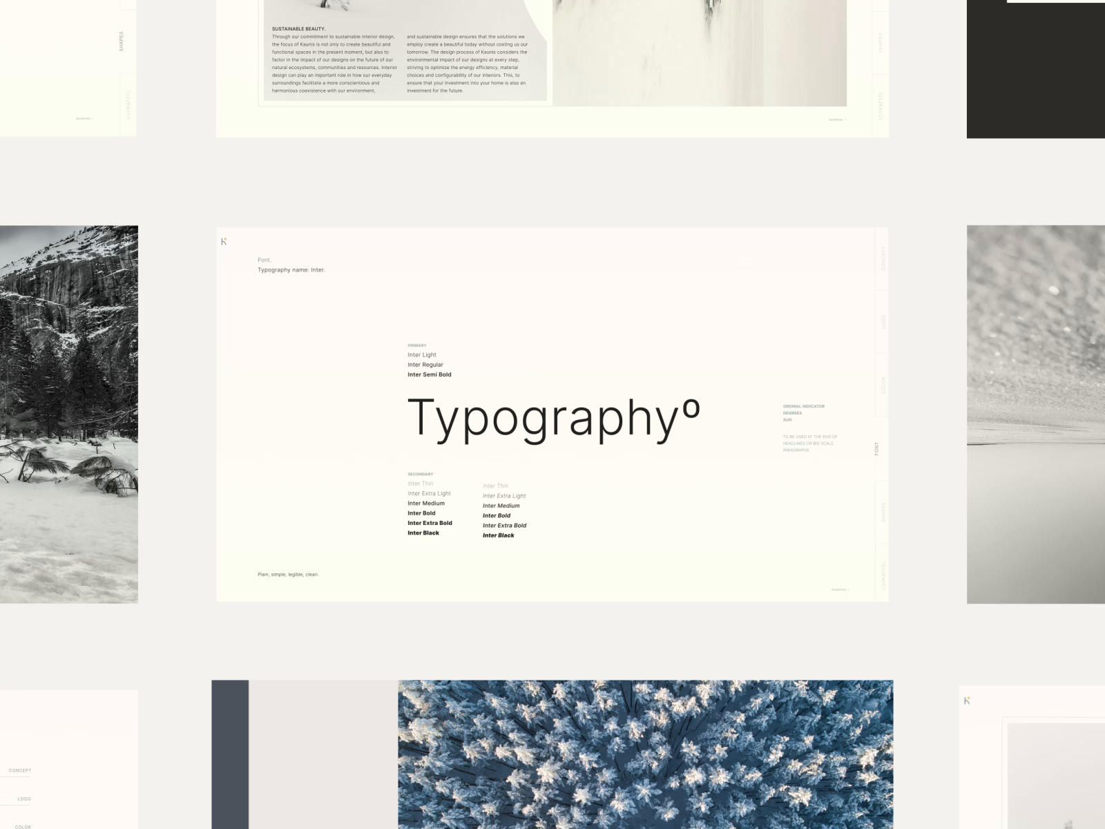 Example of Logo & Essentials