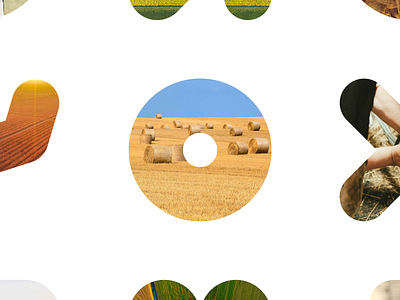 Farm Consulting agriculture agritech art direction brand identity clean design creative studio dashboard design data visualization farming interaction design minimal design modern ui motion design product design responsive design ui design ux design web design website concept