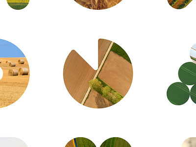 Farm Consulting agriculture agritech art direction brand identity clean design creative studio dashboard design data visualization design system farming interaction design minimal design modern ui motion design product design responsive design ui design ux design web design website concept