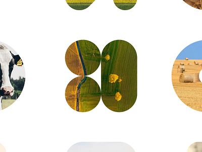 Farm Consulting agriculture agritech art direction brand identity clean design creative studio dashboard design data visualization design system farming interaction design minimal design modern ui motion design product design responsive design ui design ux design web design website concept