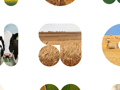 Farm Consulting agriculture agritech art direction brand identity clean design creative studio dashboard design data visualization design system farming interaction design minimal design modern ui motion design product design responsive design ui design ux design web design website concept