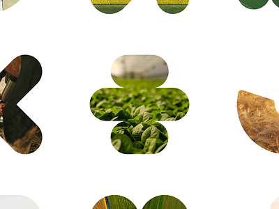 Farm Consulting agriculture agritech art direction brand identity clean design creative studio dashboard design data visualization design system farming interaction design minimal design modern ui motion design product design responsive design ui design ux design web design website concept