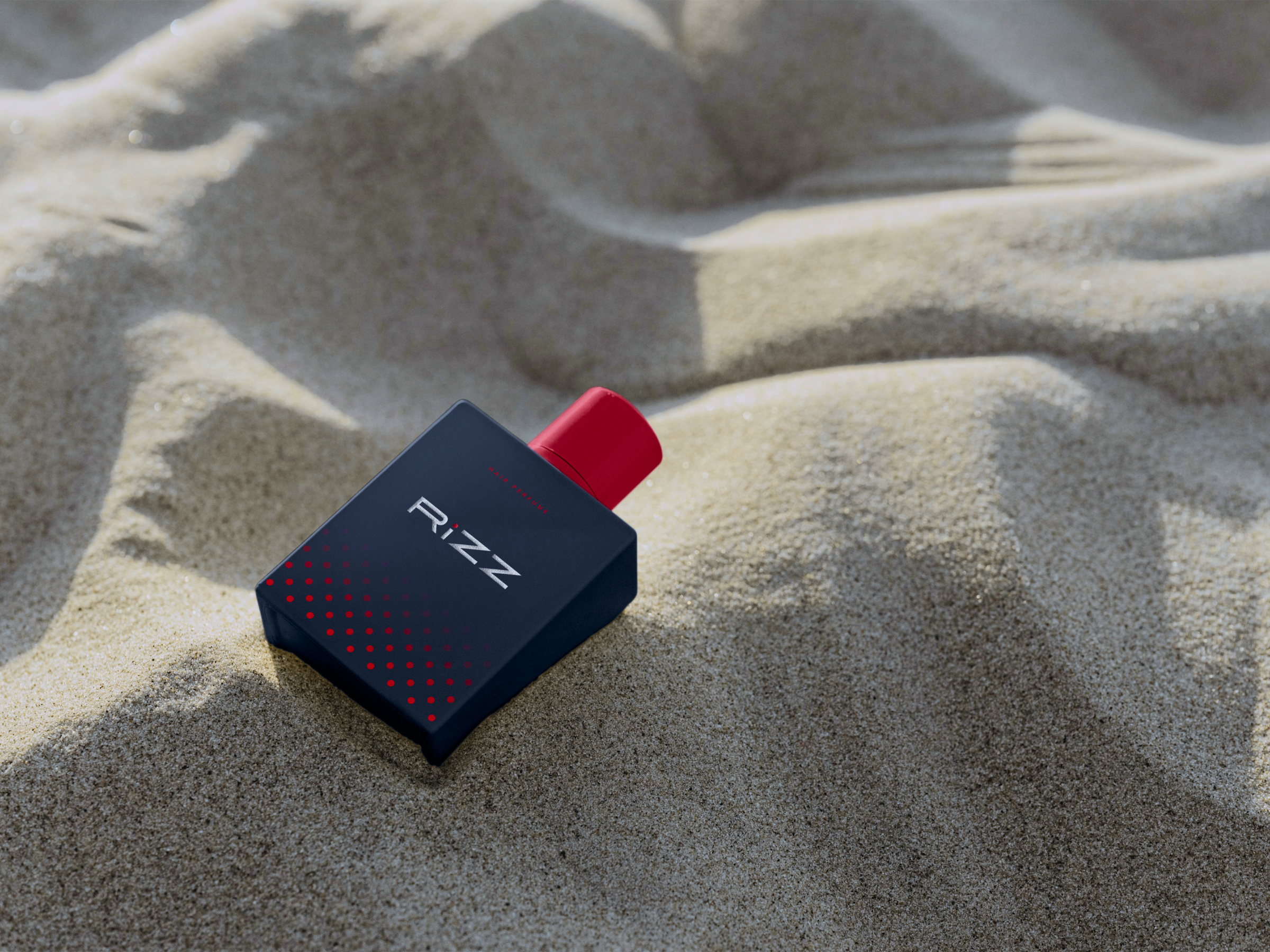 Example of Premium Brand Book & Identity Guide