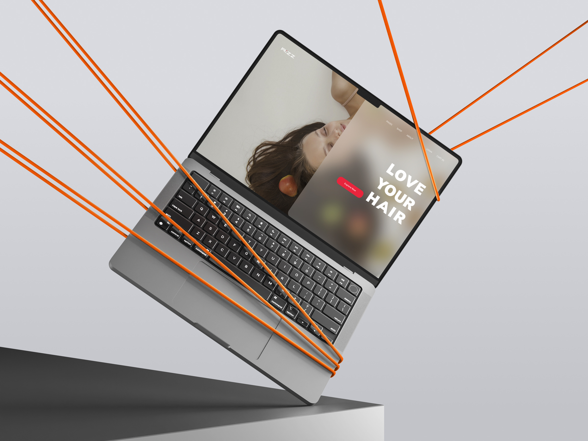 Example of Premium Brand Book & Identity Guide