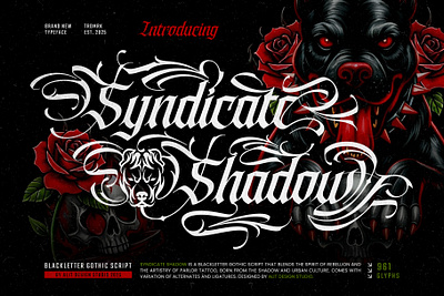 Syndicate Shadow blackletter design font fonts illustration letteing typeface