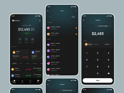 Coinary - Crypto Wallet App banking bitcoin blockchain crypto crypto app crypto exchange crypto wallet cryptocurrency currency dark mode ethereum fintech mobile app mobile wallet money trading transaction ui wallet wallet app
