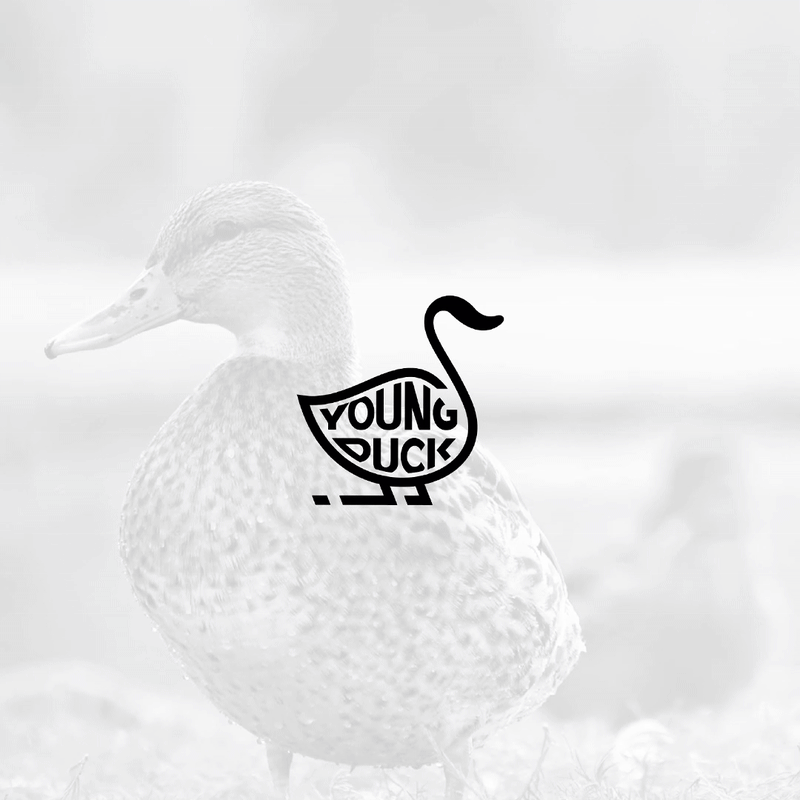Young Duck: Bold Line Art Logo Design brand identity branding design design logo flat graphic design illustration line line art logo logo design logos logotype minimal modern timeless ui unique