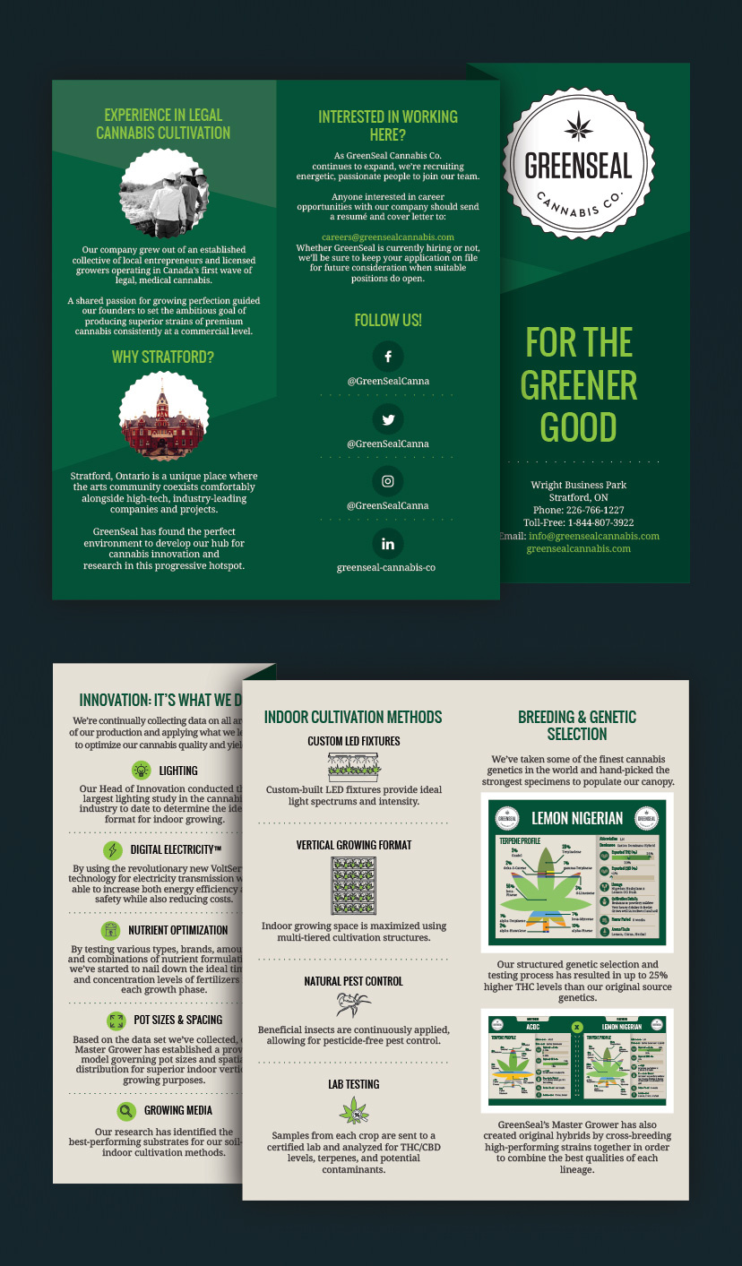 Greenseal Brochure brochure graphic design marketing