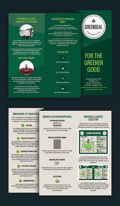 Greenseal Brochure brochure graphic design marketing