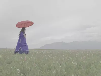 Color Grading In Adobe Premiere Pro adobe premiere pro color grading