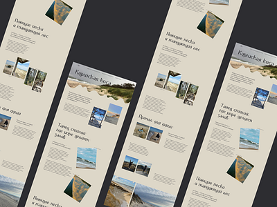 The Curonian spit design graphic design grid long read nature ui ux